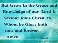 Faith and God’s Grace - Growing In Grace (11)